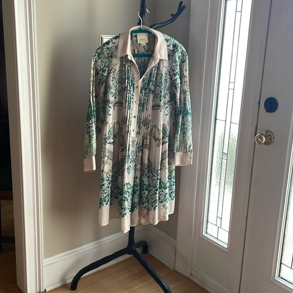 Sheer Maeve dress from anthropology